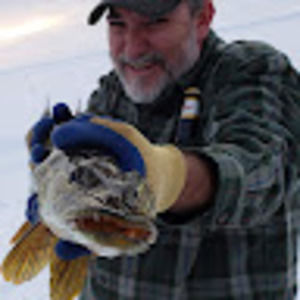 Meet your Posher, Thomas